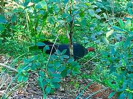 The Country House at Hunchy Montville