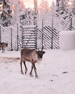 Northern Lights Ranch