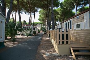 Camping Village River