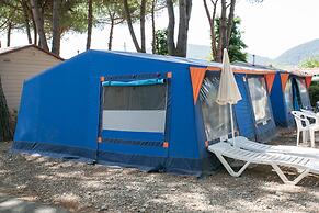 Camping Village River