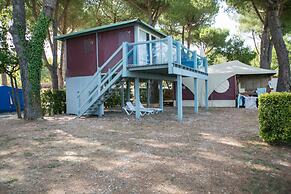 Camping Village River