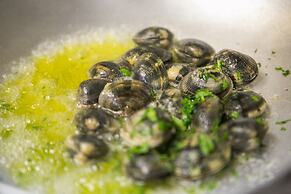 Camping Village River