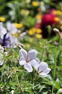 The Swallows Rest Bed & Breakfast