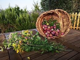 Frateria Di San Benedetto