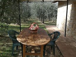 Frateria Di San Benedetto