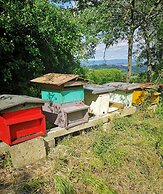 Frateria Di San Benedetto