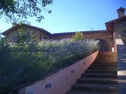La Collina dei Ciliegi