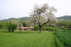 La Collina dei Ciliegi