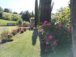 La Collina dei Ciliegi