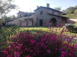 La Collina dei Ciliegi