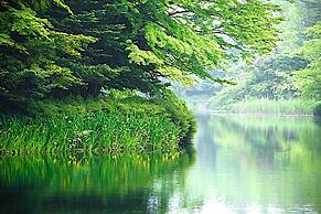 Karuizawa Tsuruya Ryokan
