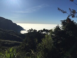 Tea Cloud Guest House