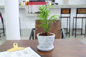 Backpack Station - Hostel