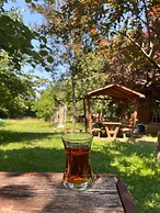 Abant Yeşil Vadi