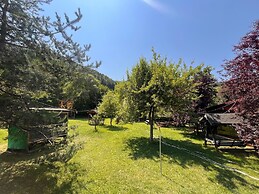 Abant Yeşil Vadi