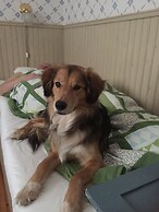 Enångers Bed and Breakfast