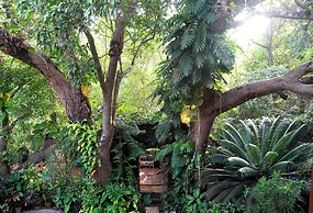 Marbella Guest House