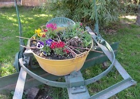 Cabañas Viejo Rincon