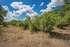Mendelbaum Winery Guest Cabins