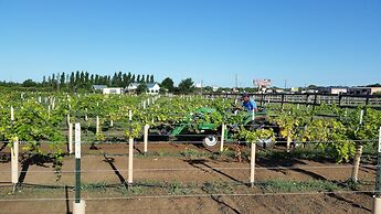 Mendelbaum Winery Guest Cabins