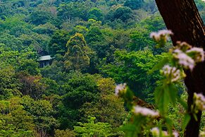 Wayanad Wild Rainforest lodge by CGH Earth