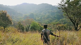 Wayanad Wild Rainforest lodge by CGH Earth