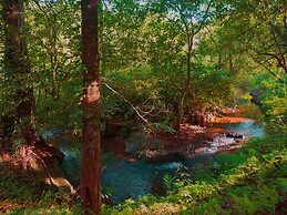 Wayanad Wild Rainforest lodge by CGH Earth