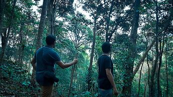 Wayanad Wild Rainforest lodge by CGH Earth