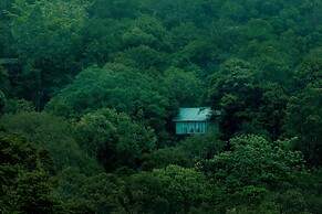 Wayanad Wild Rainforest lodge by CGH Earth