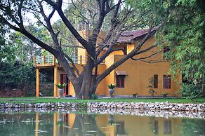 Raintree