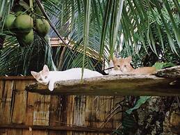 Ngellil Nature Island Resort