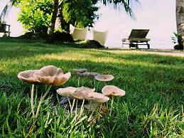 Ngellil Nature Island Resort