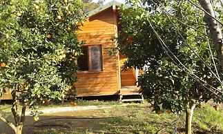 Villa Halil Bungalow