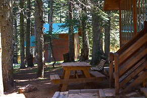 Karinna Forest Houses