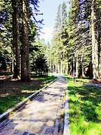 Karinna Forest Houses