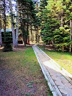 Karinna Forest Houses