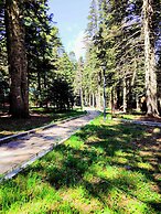 Karinna Forest Houses