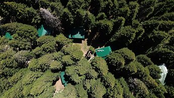 Karinna Forest Houses