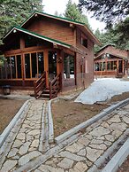 Karinna Forest Houses