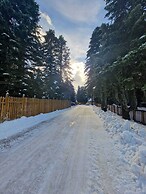 Karinna Forest Houses