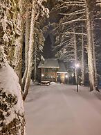 Karinna Forest Houses