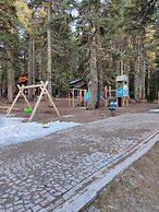 Karinna Forest Houses