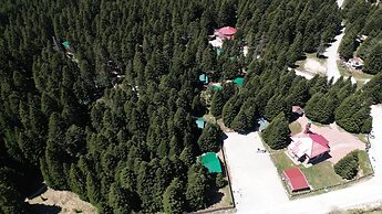 Karinna Forest Houses