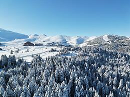 Karinna Forest Houses