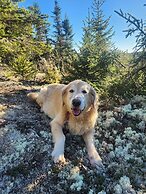 Dominion Hill Country Inn