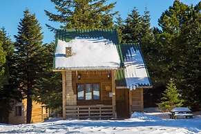 Uludag Orman Koskleri