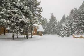 Uludag Orman Koskleri