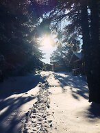 Uludag Orman Koskleri