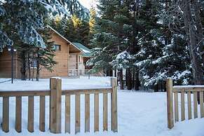 Uludag Orman Koskleri