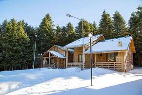 Uludag Orman Koskleri